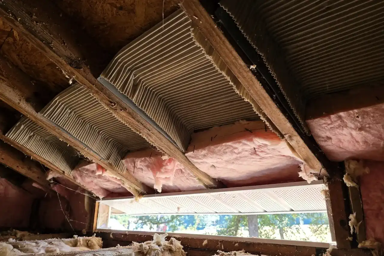 Forgotten outbuilding roofs